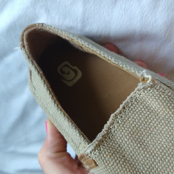 Toddler.Never worn: Canvas Shoes. Size 10 Toddler. Unisex - Picture 9 of 12